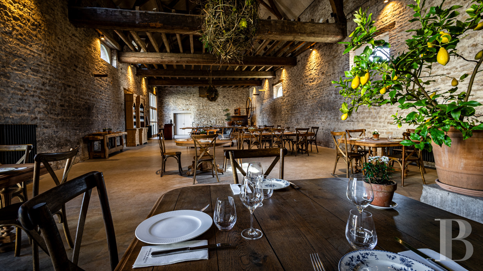 A chateau affiliated with Burgundy's greatest vineyards and permaculture to the south of Beaune - photo  n°46